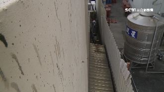 天降油汙！炸醬麵食品廠洗窗惹民怨