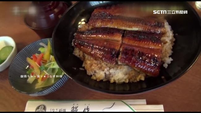 有錢也吃不到！台日鰻魚產量驟減