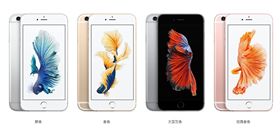 蘋果,Apple,iPhone,6S Plus（圖／翻攝自蘋果官網）