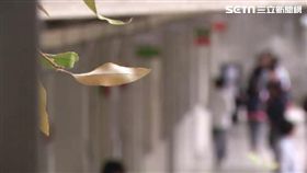 女高中生擔任班上風紀股長，卻屢遭男同學髒話辱罵，還用課本丟擲後腦勺。