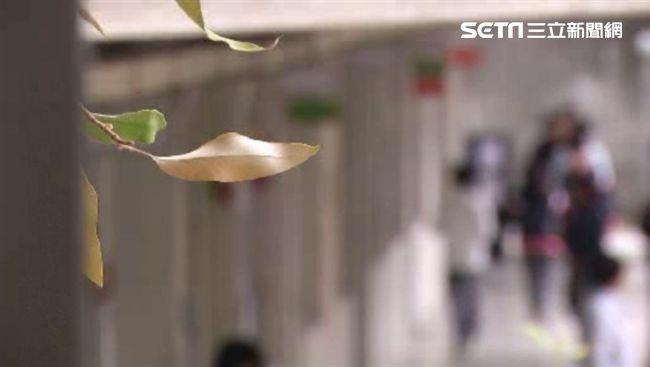 管秩序被罵三字經　風紀股長怒告求償