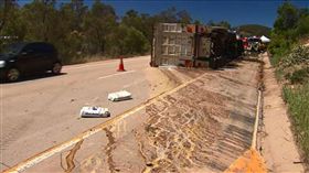 澳洲,雞蛋,車禍,貨車,新南威爾斯,高速公路,Hume　圖／翻攝自9news