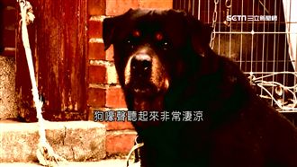 深夜狗螺警發毛！么子燒全家6死冷笑