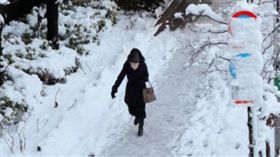 日本東京降雪飆低溫（圖／翻攝自推特）