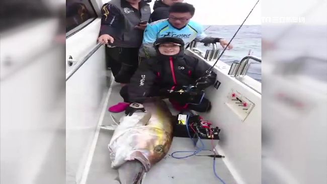 搏鬥深海巨怪　男驚訝釣起百台斤紅魽