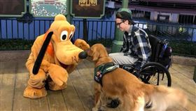 Julian Gavino黃金獵犬(翻攝/Julian Gavino臉書)


