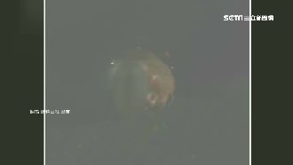 酒測值0.945！酒駕自摔睡死路中