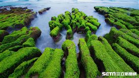 北海岸老梅綠石糟。（圖／北觀處提供,林麗珍攝影）