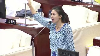 藍營「欣」人選？選民力拱王欣儀征戰