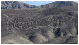 Nazca Lines,Palpa,古文明,虎鯨,考古,文化,遺跡,地畫,Johny Isla,繪製,考古　圖／翻攝自Johny Isla推特