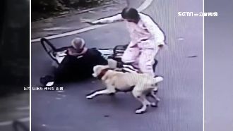 鄰狗竄出攻擊9旬翁骨折　家屬怒提告