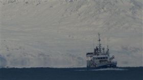 開發冰上絲路引關切　陸駁斥：別擔心（圖／翻攝自推特）,北極,開發https://twitter.com/search?q=Arctic%20Circle&src=typd&lang=zh-tw