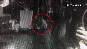 又是你！假車禍詐欺遭逮又偷百斤豬肉