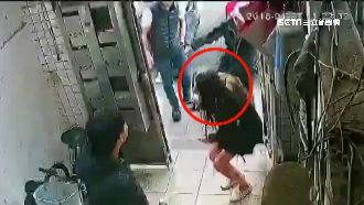 正妹撂惡煞逐戶搜人　找錯還拍手大笑