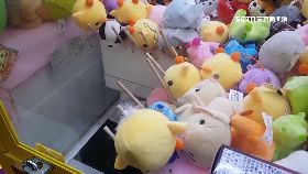 a裝彈珠詐欺1800