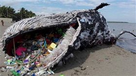 鯨魚,塑膠,裝置藝術,菲律賓,綠色和平組織,海洋,保育,垃圾,保護,Discoverocean　圖／翻攝自Discoverocean IG https://goo.gl/8Shp61