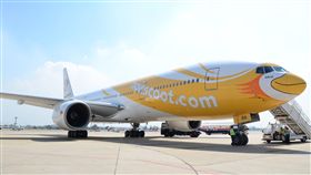 酷鳥航空,低成本航空,NokScoot。（圖／酷鳥航空提供）