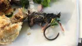 澳洲一名男子布萊克本（Bruce Blackburn）日前到餐廳吃漢堡時，發現漢堡內餡夾著一隻毛茸茸的死老鼠，嚇得他立刻吐出來並向餐廳反應。不少網友看到後，紛紛直呼「太噁心了！」（圖／翻攝自《Peta Blackburn》臉書）