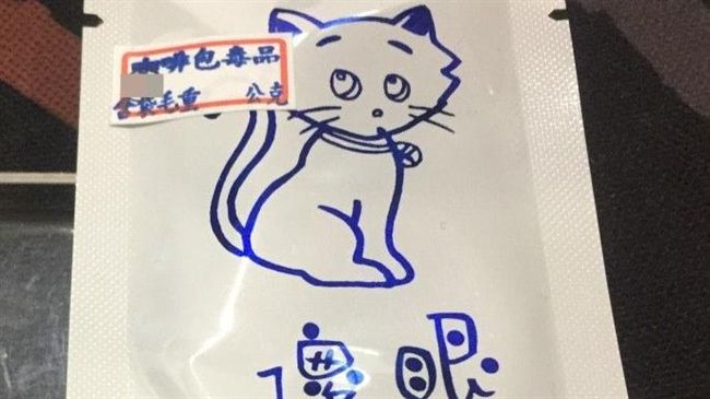 傻眼貓咪輸了！9年級生最愛講這些…