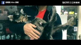 高爾賢 Alex用鏡頭紀錄小ㄅㄧㄤˋ生命最後。