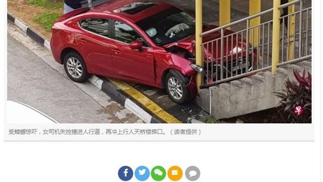 車內有小強…女駕駛驚慌失措猛撞天橋