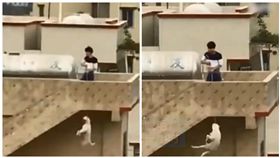 中國大陸廣東一男子在頂樓吊死狗（圖／翻攝自《澎湃新聞》）