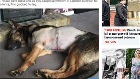 警犬,英國,警察,壞人,強盜犯,受傷,手術,獸醫,照顧,勇敢
https://www.thesun.co.uk/news/5442641/finn-police-dog-stabbing-crime-law/