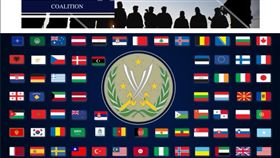 國際反恐「堅定決心行動」官網重新掛上中華民國國旗（圖／翻攝自堅定決心官網）