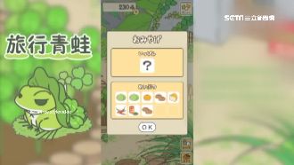 全台掀養蛙潮　連藝人也都愛不釋手