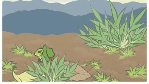 等牠的時候，先來首《旅蛙》必聽歌曲