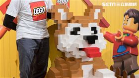 農曆,新年,玩具,樂高,樂高汪財狗,認證大師,黃彥智