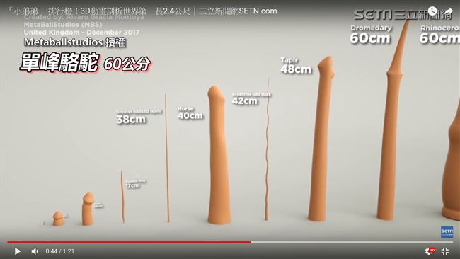 「小弟弟」 排行榜！3D動畫比一比