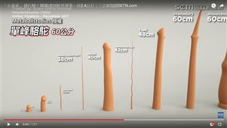 「小弟弟」 排行榜！3D動畫比一比