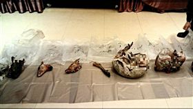 北市查獲餐廳藏保育類動物屠體農委會林務局保育組組長夏榮生表示，警方與台北市動保處17日在遭投訴餐廳「彩蝶宴」冰庫中發現保育類野生動物屠體，包含小山羌3隻、大山羌2隻、已遭肢解的台灣野山羊頭、腳各1個、山羌頭2個，將依法偵辦。（農委會林務局提供）中央社記者楊淑閔傳真　107年1月17日