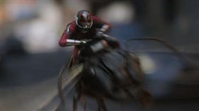 蟻人，續集，黃蜂女，預告片（翻攝自YouTube）