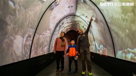 燕窩洞穴隧道,白蘭氏健康博物館