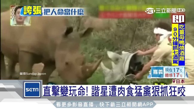 搏命演出 日諧星扮動物 親密接觸 遭肉食猛禽狠抓狂咬 娛樂星聞 三立新聞網setn Com