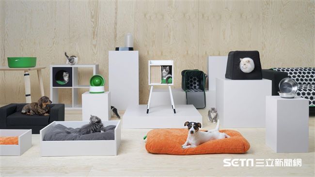 很不人性化　IKEA開賣寵物商品
