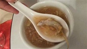 壁虎,湯,加料,死屍,鱷魚,藥材,蛋白質（圖／翻攝自臉書爆料公社三館）https://www.facebook.com/groups/419730365072869/permalink/573744889671415/