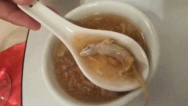 崩潰！喝湯驚見壁虎　網笑：野生補品