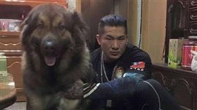 館長愛犬咬人（圖／翻攝自飆捍臉書）