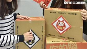 過年,福袋,不幸箱,電商,創業家兄弟,生活市集,蟑螂抱枕