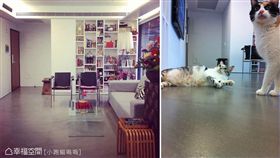 名家專用／幸福空間／寵物達人：關於寵物宅的18個超實用裝修密技（勿用）