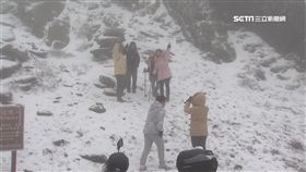 陽明山也白頭?! 追雪攻略
