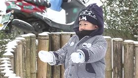 陽明山也白頭?! 追雪攻略