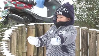 急凍100%！強風大雨低溫特報齊發