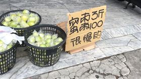 蜜棗,很慢的,現摘的,台語,國語,Dcard　圖／翻攝自Dcard