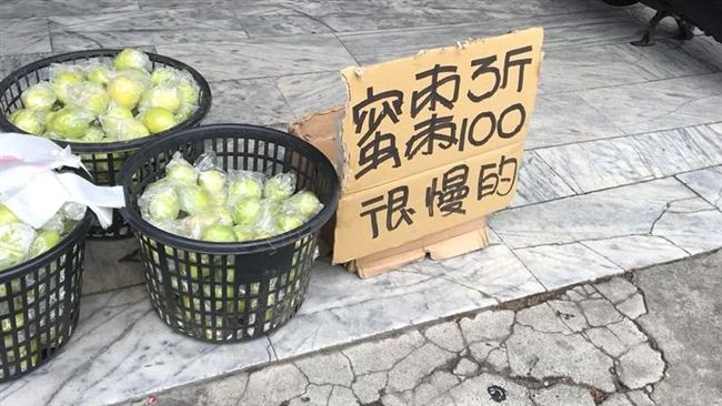 很慢的蜜棗她不解？　真相曝光網笑翻