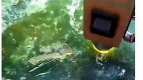 緬甸,翡翠,礦工,翻身 ▲圖／翻攝自緬甸中文網