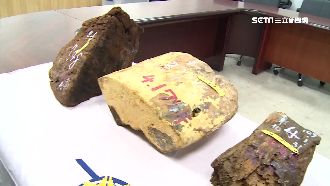 吸毒又怕死　腦癌毒販培養牛樟芝解毒